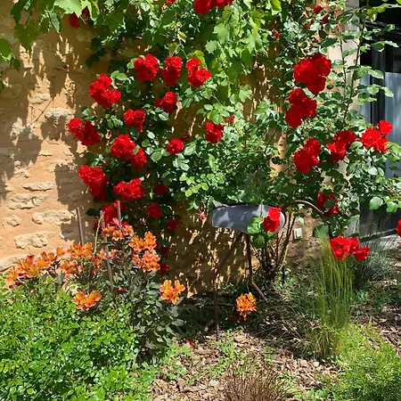 Le Clos 1855 Maison d'hôtes *